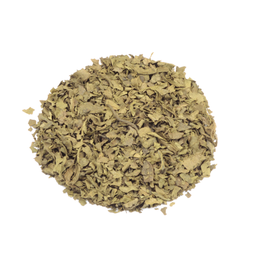 Salvia Divinorum 10X extract (1 gram)